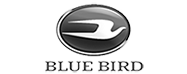 bb